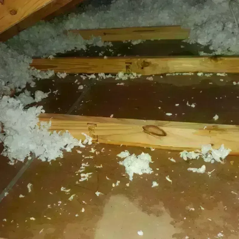 Attic Water Damage in Winnebago County, IA