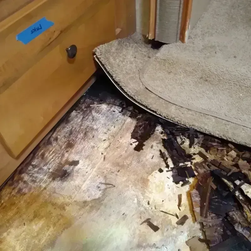 Wood Floor Water Damage in Winnebago County, IA